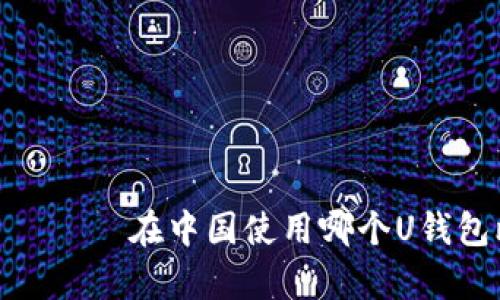  неправильный 在中国使用哪个U钱包比较好？全面分析与推荐